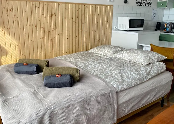 Lux Lotnisko Apartamento *